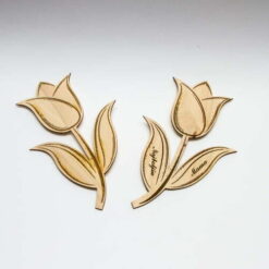 Tulipan